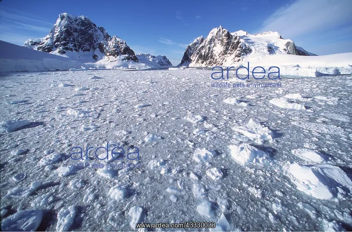 : ANTARCTICA - Lemaire Channel : ANTARCTICA - Lemaire Channel
