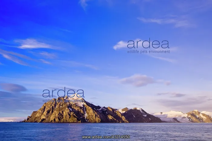 : Antarctica, Livingston Island. Sunset at : Antarctica, Livingston Island. Sunset at