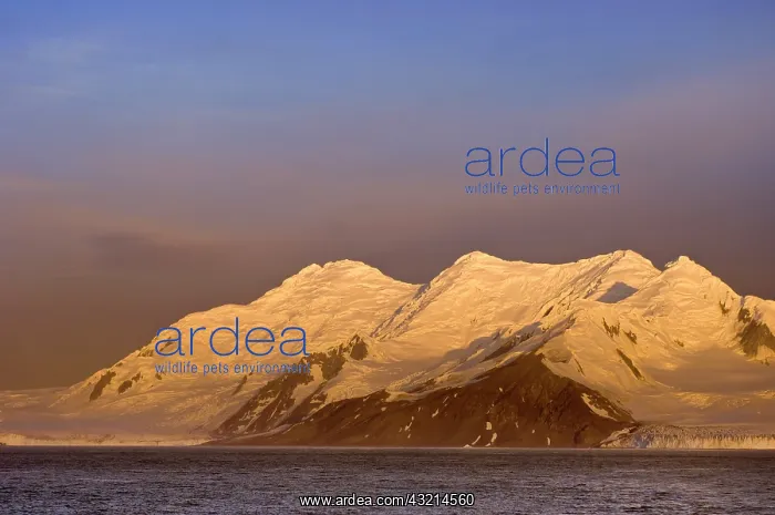 : Antarctica, Livingston Island. Sunset at : Antarctica, Livingston Island. Sunset at