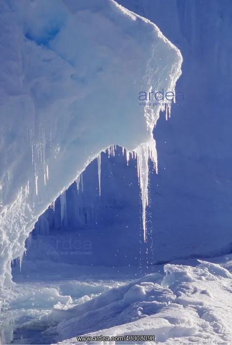 : ANTARCTICA - MELTING ICE : ANTARCTICA - MELTING ICE