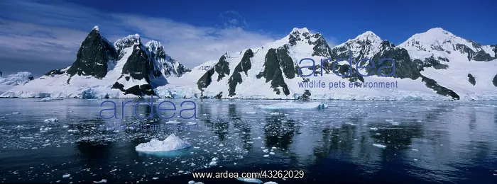 : Antarctica, Morning sun lights mountain : Antarctica, Morning sun lights mountain