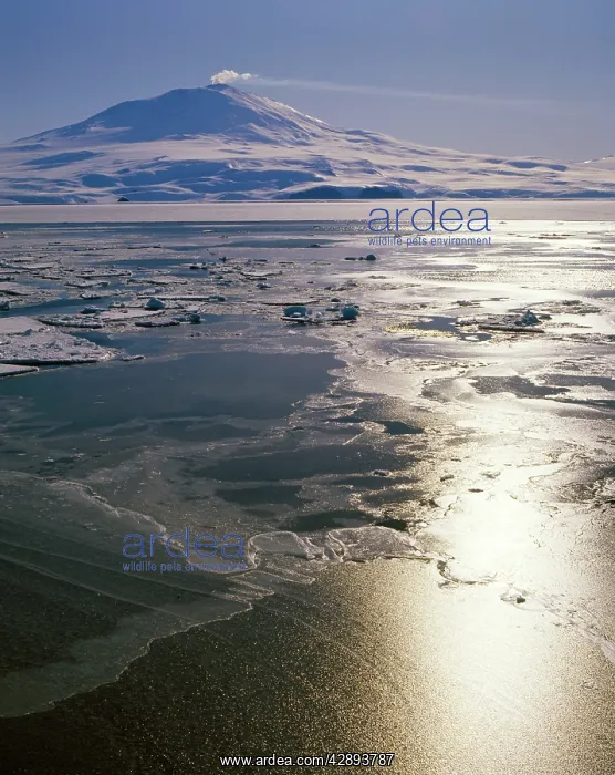  : Antarctica - Mount Erebus active VolcanoRoss Island