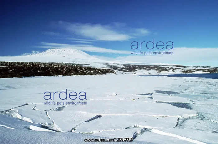 : Antarctica - pack ice & Mount Erebus, active volcano : Antarctica - pack ice & Mount Erebus, active volcano