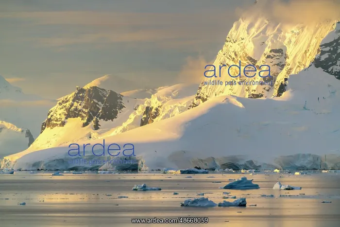 : Antarctica, Paradise Bay. Mountain reflections at sunset : Antarctica, Paradise Bay. Mountain reflections at sunset