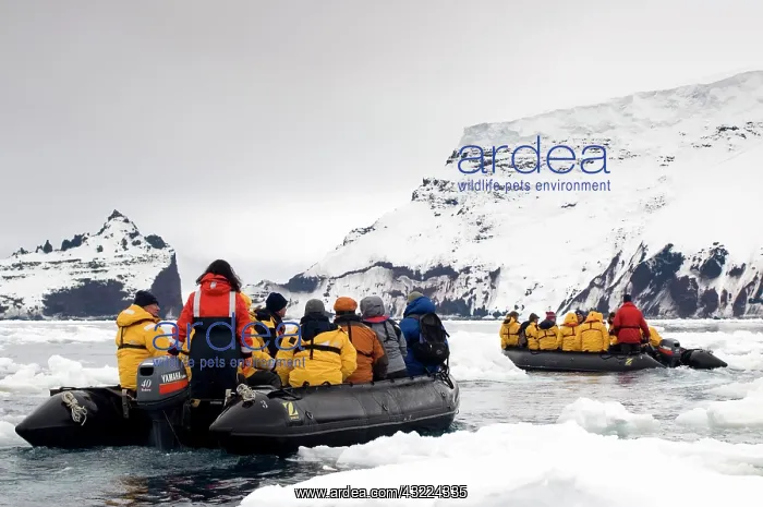 : Antarctica, Peter the First Island. Zodiacs : Antarctica, Peter the First Island. Zodiacs