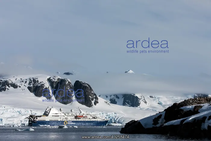 : Antarctica, Petermann Island, Cruise ship : Antarctica, Petermann Island, Cruise ship