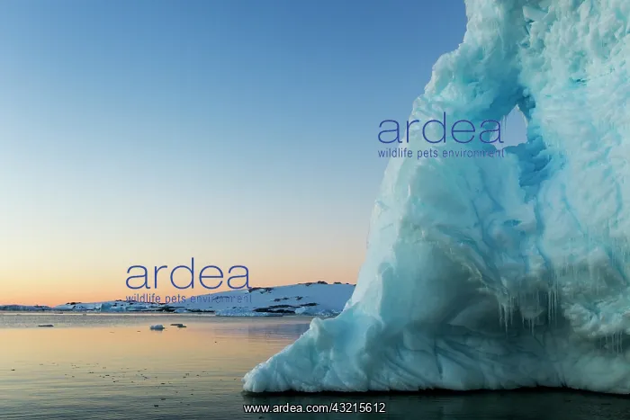 : Antarctica, Petermann Island, Melting iceberg : Antarctica, Petermann Island, Melting iceberg