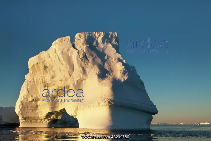  : Antarctica, Petermann Island, Setting midnight