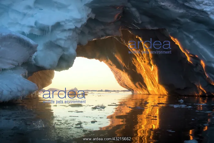 : Antarctica, Petermann Island, Setting midnight : Antarctica, Petermann Island, Setting midnight