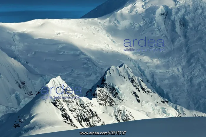 : Antarctica, Port Lockroy, Morning sun lights : Antarctica, Port Lockroy, Morning sun lights