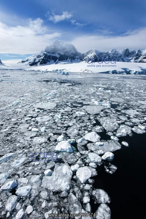 : Antarctica, Port Lockroy, Morning sun lights : Antarctica, Port Lockroy, Morning sun lights