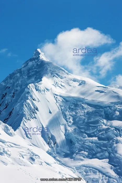 : Antarctica, Port Lockroy, Mountain peak : Antarctica, Port Lockroy, Mountain peak
