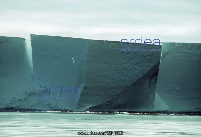 : ANTARCTICA - Ross Ice Shelf / Ice Cliffs : ANTARCTICA - Ross Ice Shelf / Ice Cliffs