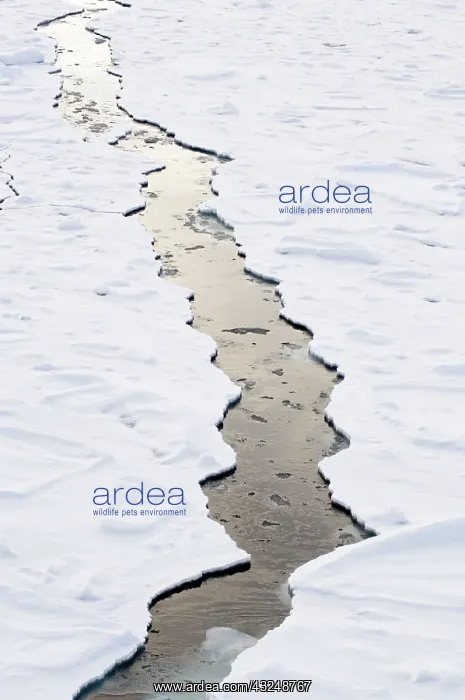 : Antarctica, Ross Sea. Crack in pack ice : Antarctica, Ross Sea. Crack in pack ice