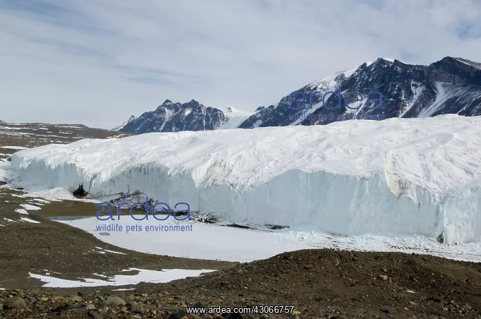 : Antarctica, Ross Sea, Dry Valleys. Canada : Antarctica, Ross Sea, Dry Valleys. Canada