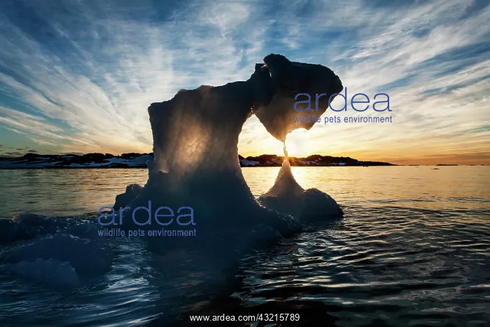 : Antarctica, Setting midnight sun lights : Antarctica, Setting midnight sun lights