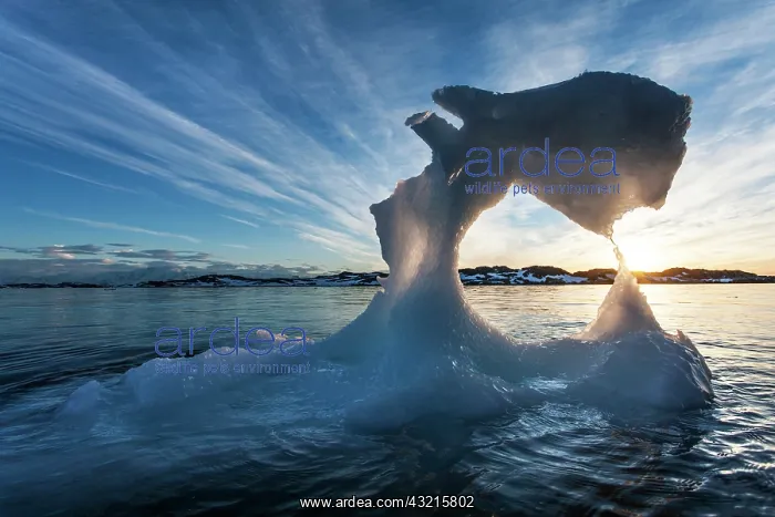 : Antarctica, Setting midnight sun lights : Antarctica, Setting midnight sun lights