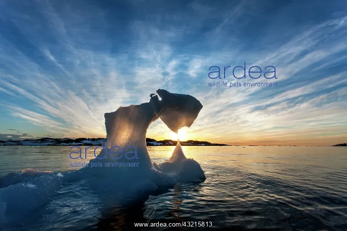 : Antarctica, Setting midnight sun lights : Antarctica, Setting midnight sun lights