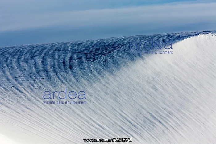 : Antarctica, Setting sun lights snow-covered : Antarctica, Setting sun lights snow-covered