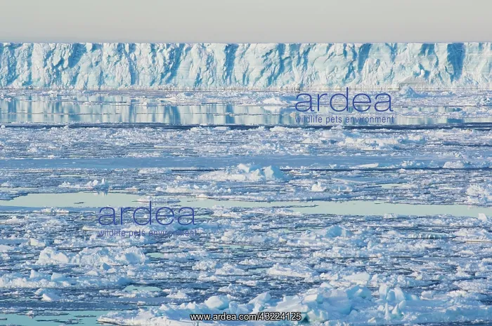 : Antarctica, Snow Hill Island. Broken pack : Antarctica, Snow Hill Island. Broken pack