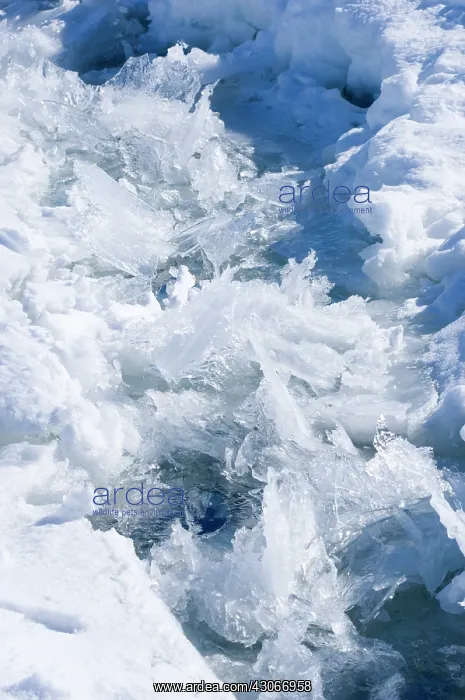 : Antarctica, Snow Hill Island. Ice formations : Antarctica, Snow Hill Island. Ice formations