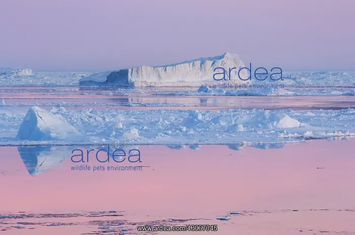 : Antarctica, Snow Hill Island. Iceberg at : Antarctica, Snow Hill Island. Iceberg at