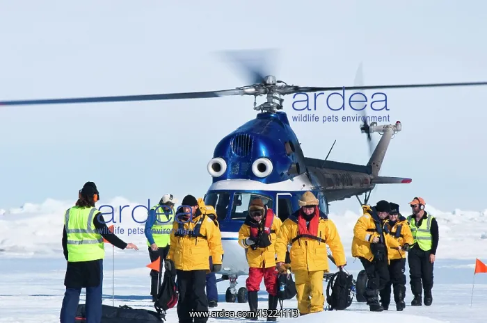 : Antarctica, Snow Hill Island. Passenger : Antarctica, Snow Hill Island. Passenger