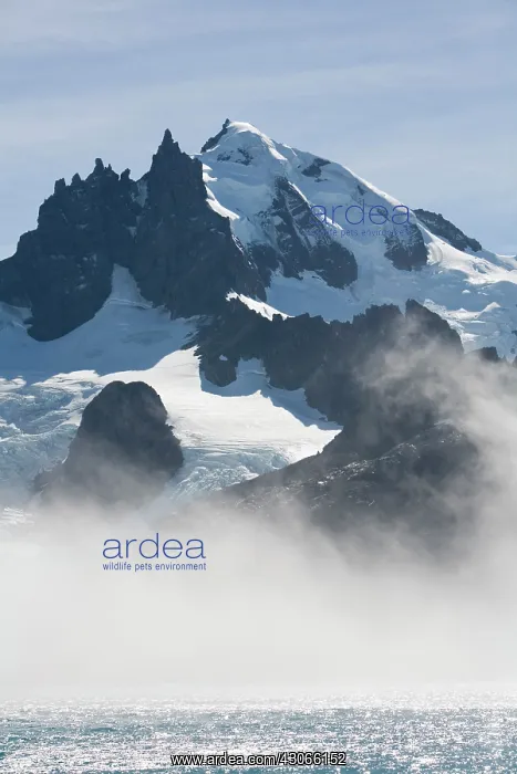 : Antarctica, South Georgia Island (UK), Fog : Antarctica, South Georgia Island (UK), Fog