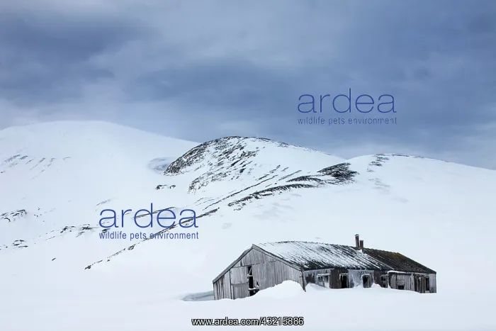 : Antarctica, South Shetland Islands, Abandoned : Antarctica, South Shetland Islands, Abandoned