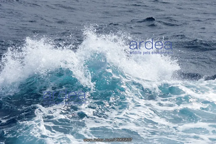 : Antarctica, Southern Ocean. Heavy seas and : Antarctica, Southern Ocean. Heavy seas and