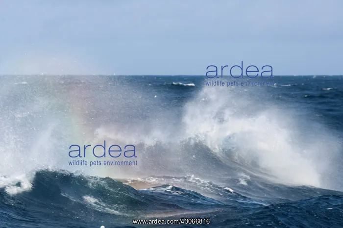 : Antarctica, Southern Ocean. Heavy seas and : Antarctica, Southern Ocean. Heavy seas and