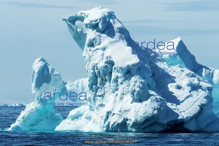 : Antarctica, Sunshine lights arched iceberg : Antarctica, Sunshine lights arched iceberg