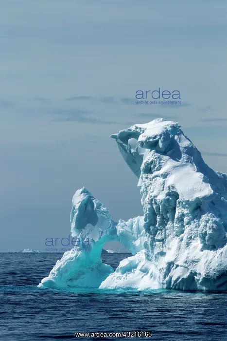 : Antarctica, Sunshine lights arched iceberg : Antarctica, Sunshine lights arched iceberg
