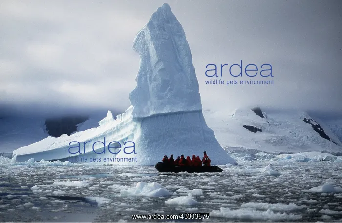 : ANTARCTICA - Tourists in zodiac boat and icebergs : ANTARCTICA - Tourists in zodiac boat and icebergs