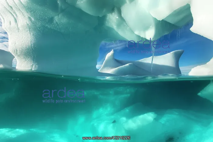  : Antarctica, Underwater view of arched Iceberg