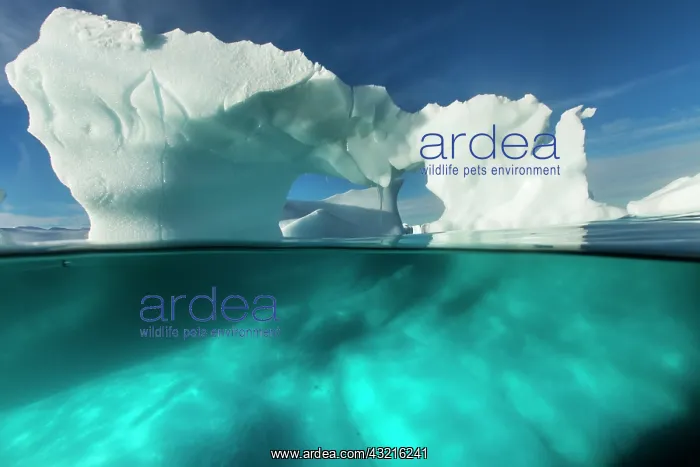: Antarctica, Underwater view of arched Iceberg : Antarctica, Underwater view of arched Iceberg