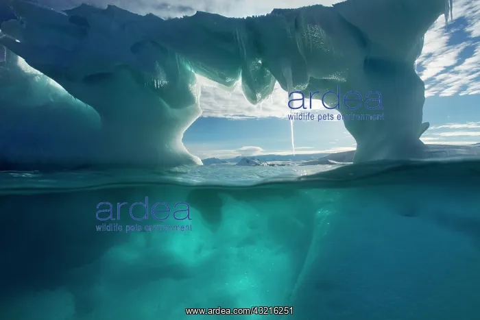 : Antarctica, Underwater view of arched Iceberg : Antarctica, Underwater view of arched Iceberg