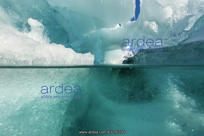 : Antarctica, Underwater view of melting iceberg