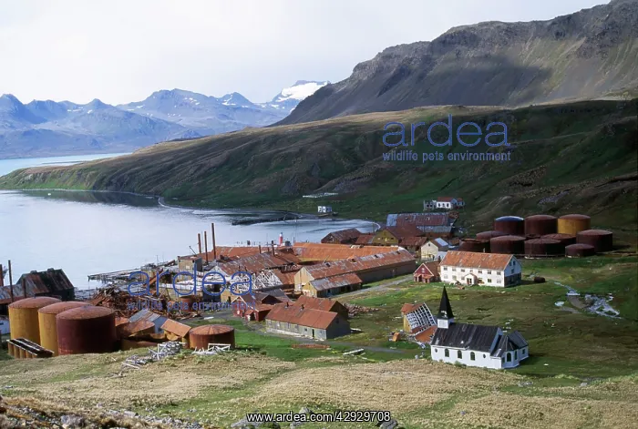 : Antarctica - view of abandoned whaling station : Antarctica - view of abandoned whaling station