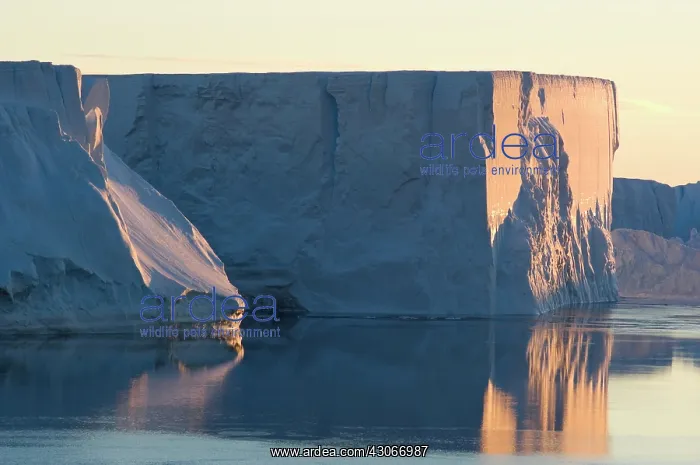 : Antarctica, Weddell sea. Sun reflecting : Antarctica, Weddell sea. Sun reflecting