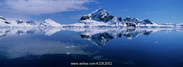 : Antarctica, Wiencke Island, Evening sun : Antarctica, Wiencke Island, Evening sun