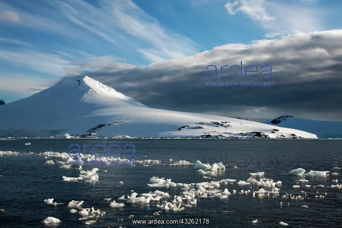 : Antarctica, Wiencke Island, Setting sun : Antarctica, Wiencke Island, Setting sun