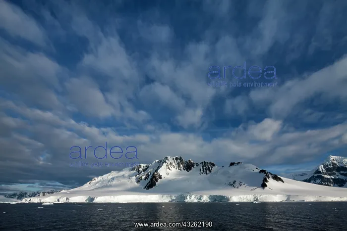 : Antarctica, Wiencke Island, Setting sun : Antarctica, Wiencke Island, Setting sun