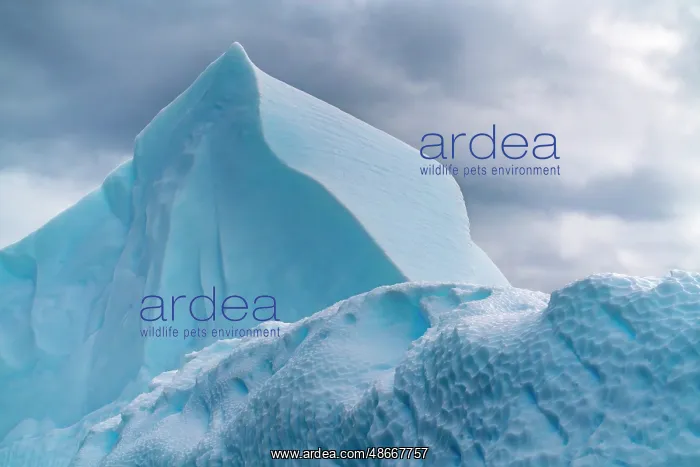 : Antarctica, Yalour Islands. Close-up of icebergs. ic Cathy & : Antarctica, Yalour Islands. Close-up of icebergs. ic Cathy &
