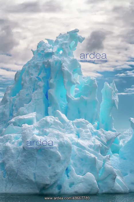 : Antarctica, Yalour Islands. Close-up of icebergs. ic Cathy & : Antarctica, Yalour Islands. Close-up of icebergs. ic Cathy &