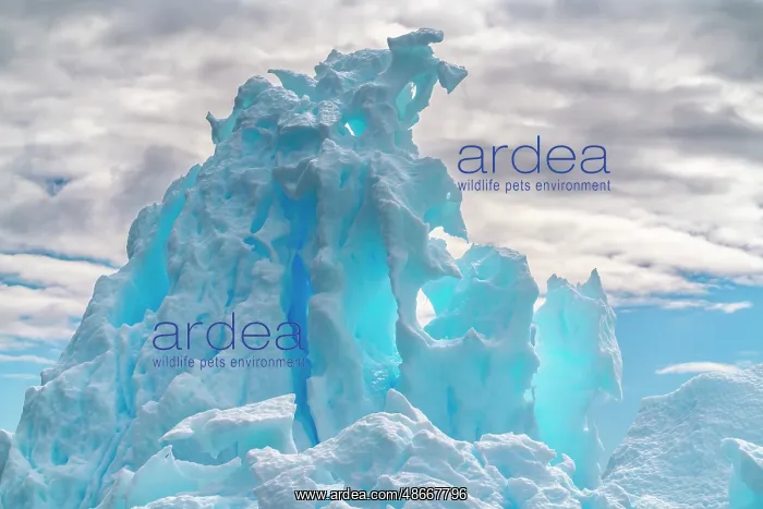 : Antarctica, Yalour Islands. Close-up of icebergs. ic Cathy & : Antarctica, Yalour Islands. Close-up of icebergs. ic Cathy &