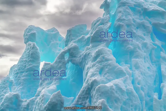 : Antarctica, Yalour Islands. Close-up of icebergs. ic Cathy & : Antarctica, Yalour Islands. Close-up of icebergs. ic Cathy &