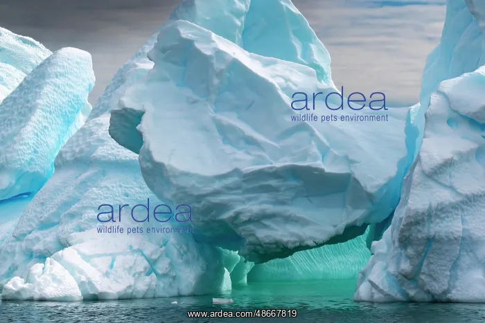 : Antarctica, Yalour Islands. Close-up of icebergs. ic Cathy & : Antarctica, Yalour Islands. Close-up of icebergs. ic Cathy &