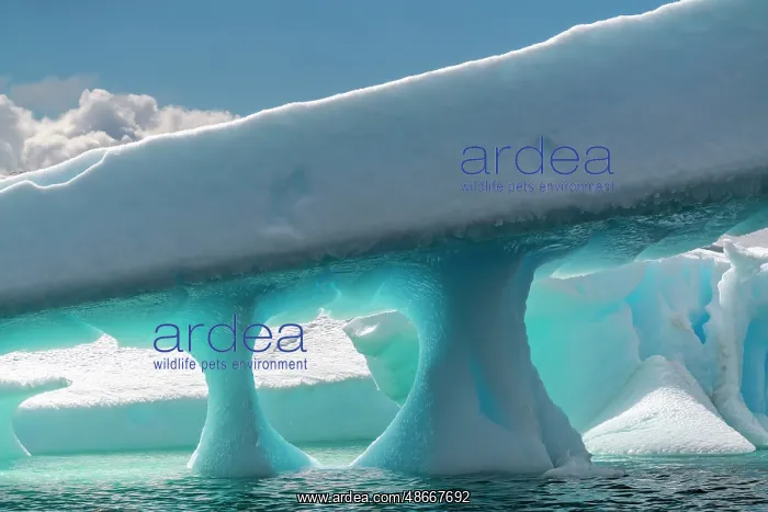 : Antarctica, Yalour Islands. Glacier shapes and ocean. ic Cat : Antarctica, Yalour Islands. Glacier shapes and ocean. ic Cat