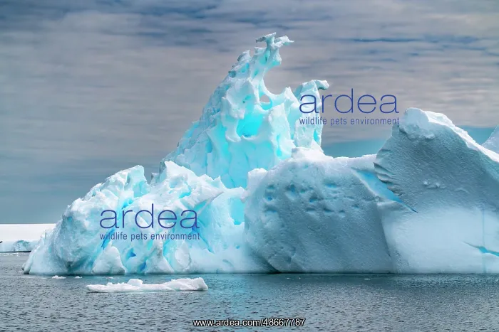 : Antarctica, Yalour Islands. Landscape with icebergs and : Antarctica, Yalour Islands. Landscape with icebergs and